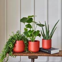 Lisbon Plant Pot