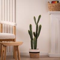 Artificial Euphorbia Cactus in Black Plastic Plant Pot