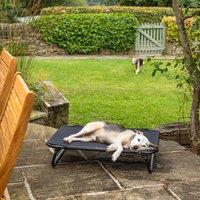 Bunty Pets Foldable Elevated Dog Bed
