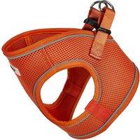 Bunty Pets Voyage Harness