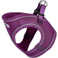 Bunty Pets Voyage Harness