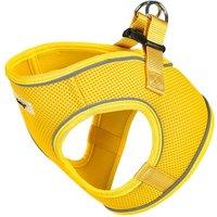 Bunty Pets Voyage Harness