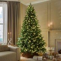 6.5ft Pre-Lit Rivington Fir Christmas Tree