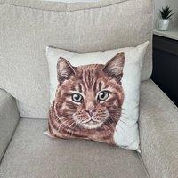 Christine Varley Ginger Cat Square Cushion