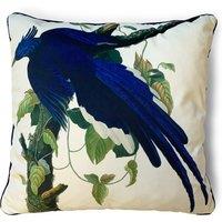 The Art Group John James Audubon Columbia Jay Velvet Square Cushion