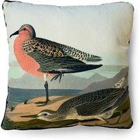 The Art Group John James Audubon Red breasted Sandpiper Velvet Square Cushion