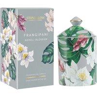 Stoneglow Urban Botanics Frangipani Neroli Blossom Ceramic Candle