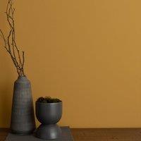 Dunelm Matt Emulsion Paint