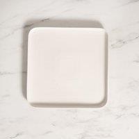 Larson Square Dinner Plate