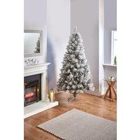 5ft Snow Tipped Grey Fir Christmas Tree with Cashmere Tips