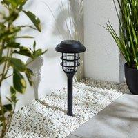 Solar LED Indoor Outdoor Stake Light