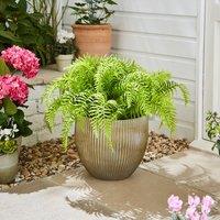 Artificial Fern in Ribbed Plant Pot