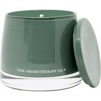 Aromatherapy Co Therapy Garden Wild Lime and Mint Jar Candle