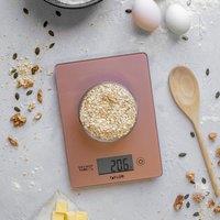Taylor Accurate Glass Digital Silver Kitchen Scale,Small