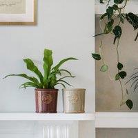 Kew Reactive Glaze Plant Pot