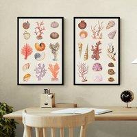 Set of 2 Coral and Shell Collage Framed Prints