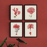 Set of 4 Antique Red Coral Framed Prints