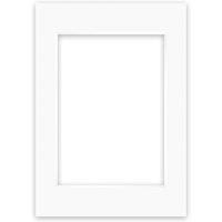 Nielsen Conservation White Picture Mount