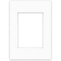 Nielsen Conservation White Picture Mount