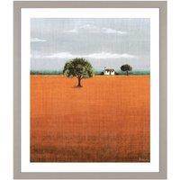 Evening Glow Framed Print