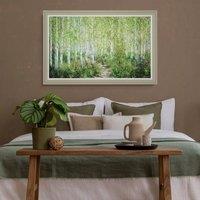 Forest Light Framed Print