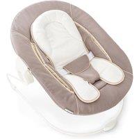 hauck Alpha 2 in 1 Bouncer