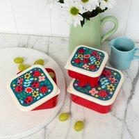 Lady Bird Snack Boxes Set of 3