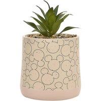 Artificial Succulent in Disney Mickey Mouse Plant Pot