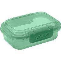 Smash Dino Lunch Box
