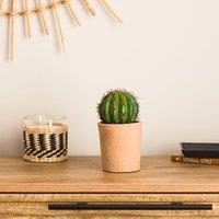 Artificial Ball Cactus in Terracotta Plant Pot