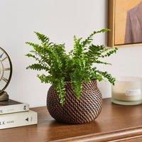 Churchgate Round Woven Plant Pot