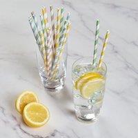 Pack of 20 Striped Paper Straws