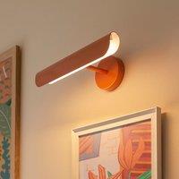 Elements Whitmore LED Picture Light