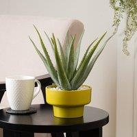 Artificial Real Touch Aloe Plant in Chartreuse Plant Pot