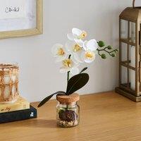 Artificial Orchid in Glass Jar