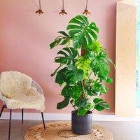 Capri Plant Pot