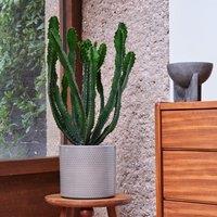 Capri Plant Pot
