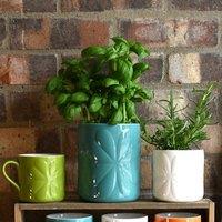 Navigate Carnaby Ceramic Embossed Plant Pot