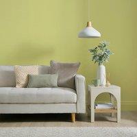 Dunelm Matt Emulsion Paint