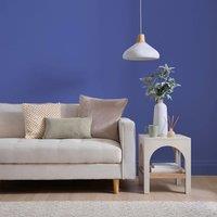 Dunelm Matt Emulsion Paint