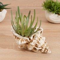 Artificial Succulent in Cement Shell Plant Pot