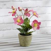 Artificial Hellebore in Terracotta Plant Pot