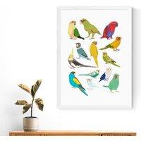 East End Prints Parrots Print