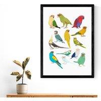 East End Prints Parrots Print