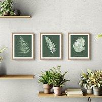 Set of 3 Nature By The Lake Framed Prints
