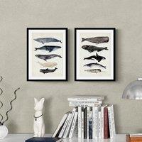 Set of 2 Whale Illustrations Framed Prints