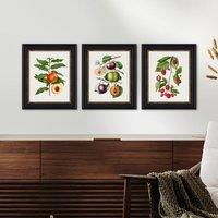 Set of 3 Vintage Fruits Framed Prints