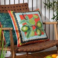 furn Anemone Fruit Outdoor Square Cushion