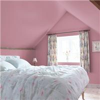 Shabby Chic by Rachel Ashwell Matt Emulsion Multi Surface Paint