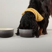 Scruffs Set of 2 Ombre Bowls